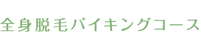 全身バイキングコース